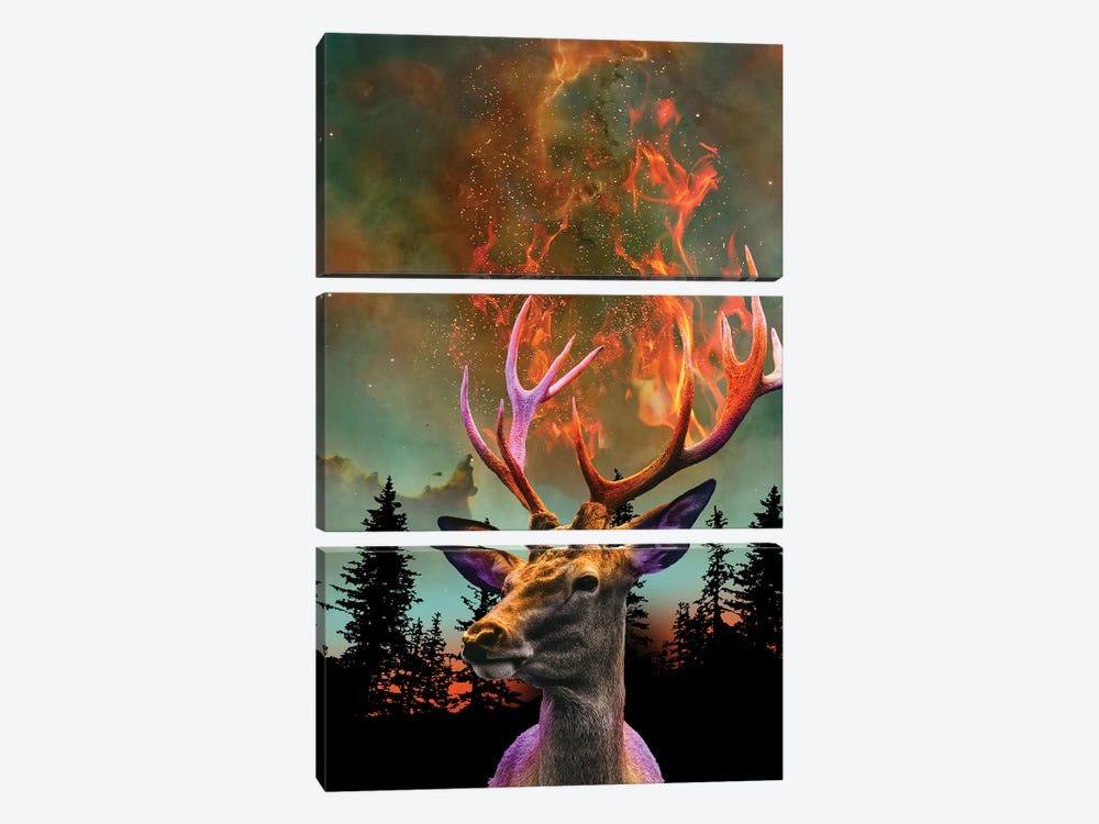 The Nature Of Things - Fire Deer by David Loblaw 3-piece Art Print