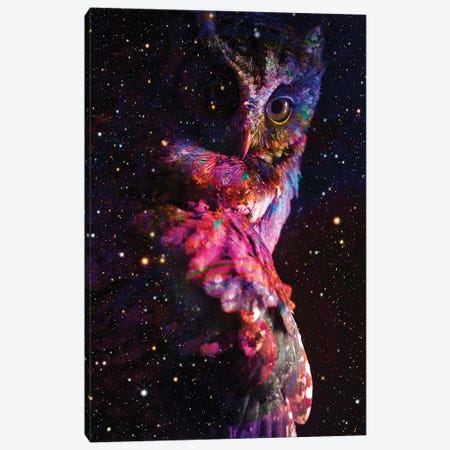 Night Owl Canvas Print #DLB136} by David Loblaw Canvas Wall Art