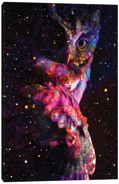 Night Owl Canvas Art Print - David Loblaw