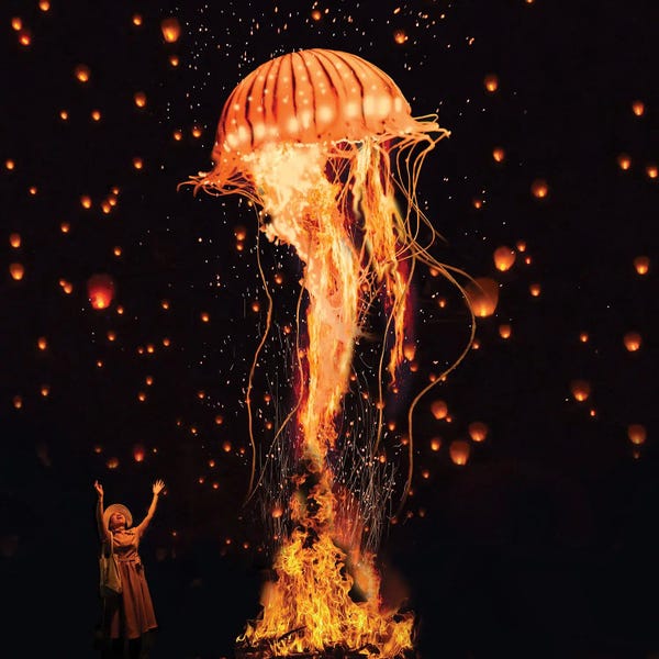 Kids Ocean Life Art: Jellyfish Rising From The Flames by David Loblaw