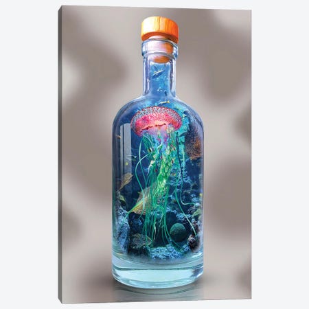 Jellyfish In A Bottle Canvas Print #DLB140} by David Loblaw Canvas Artwork