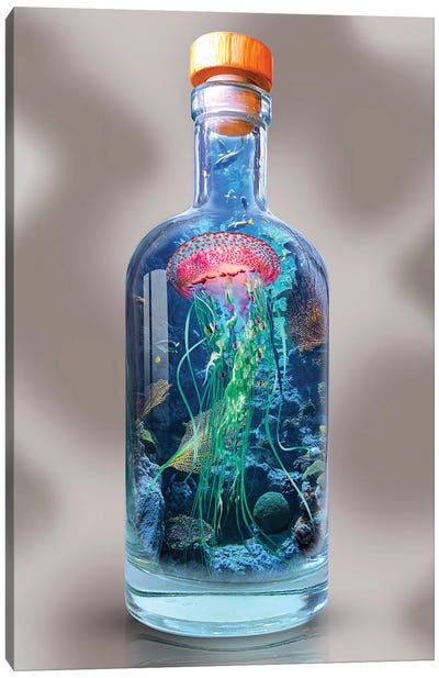 Jellyfish In A Bottle Canvas Art Print - David Loblaw
