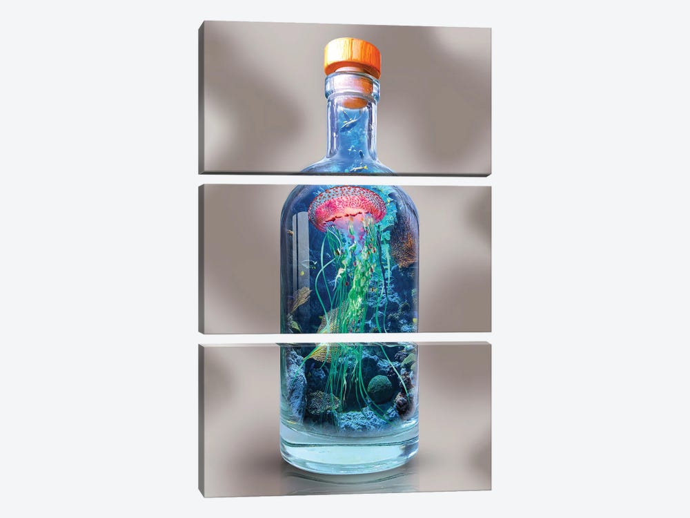 Jellyfish In A Bottle by David Loblaw 3-piece Canvas Art