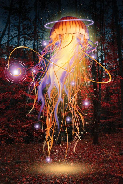 Forest Jellyfish At Night by David Loblaw framed canvas print