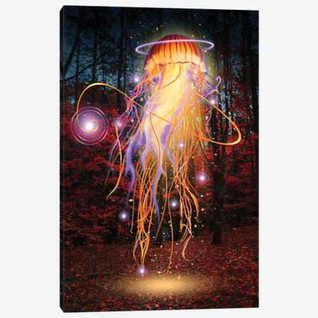 Forest Jellyfish At Night Canvas Print #DLB141} by David Loblaw Canvas Art