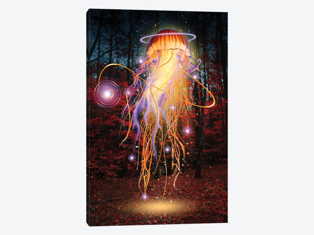 Forest Jellyfish At Night by David Loblaw 1-piece Canvas Print