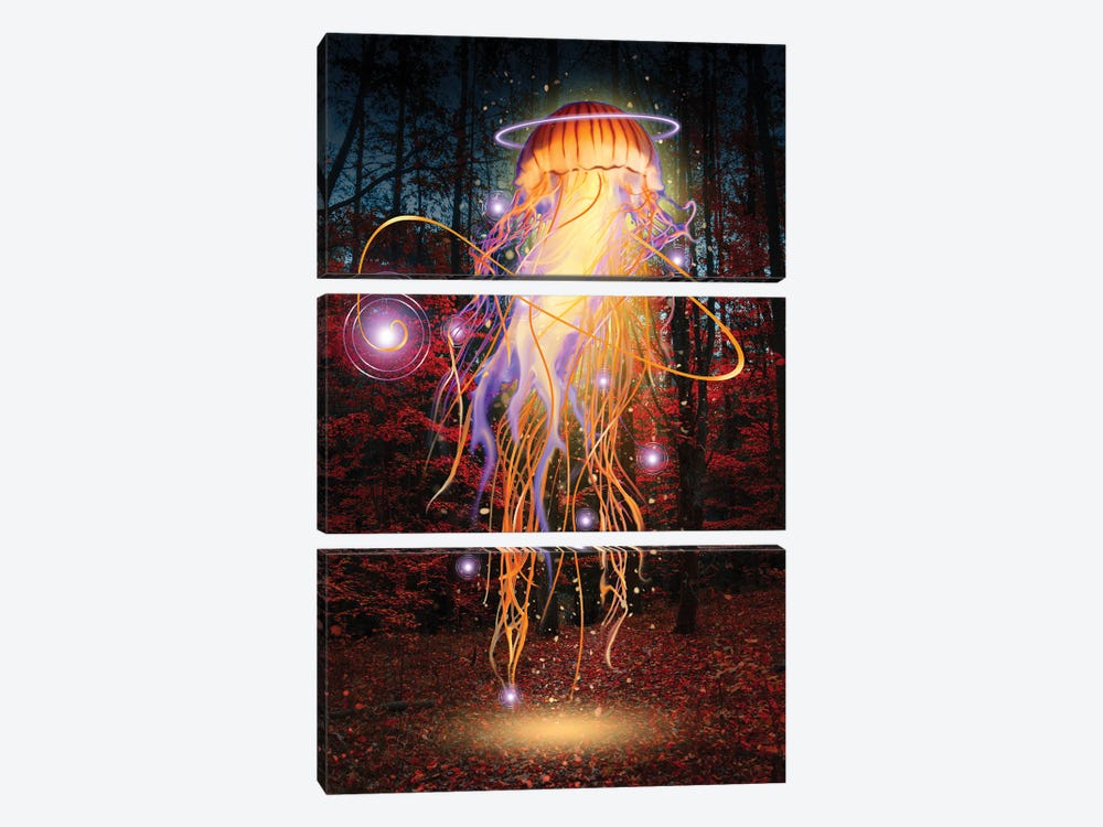 Forest Jellyfish At Night by David Loblaw 3-piece Art Print