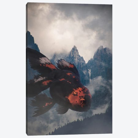 Night Drifter In The Mountains Canvas Print #DLB142} by David Loblaw Canvas Artwork