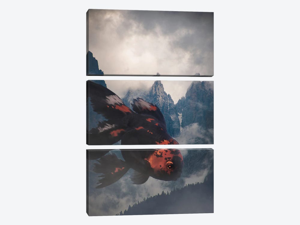 Night Drifter In The Mountains by David Loblaw 3-piece Canvas Artwork