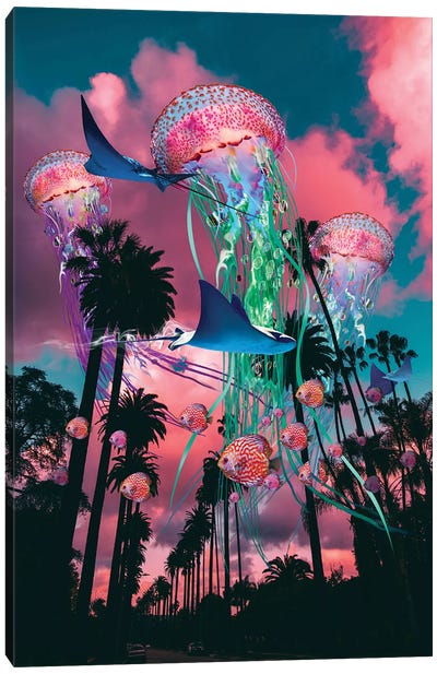 California Dreaming Canvas Art Print - Jellyfish Art