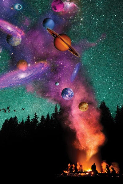 Pine Trees: Campfire Universe by David Loblaw