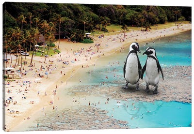 Penguins At The Beach Canvas Art Print - David Loblaw