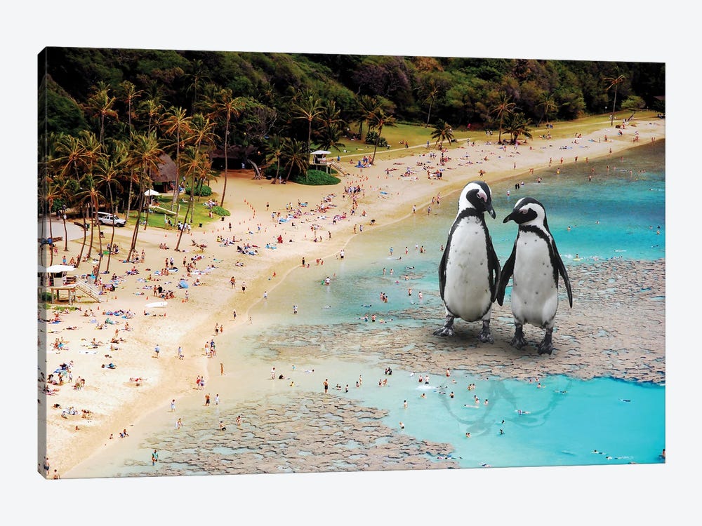 Penguins At The Beach by David Loblaw 1-piece Canvas Wall Art
