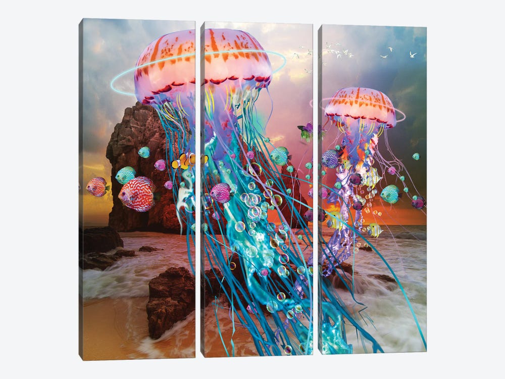 Jellyfish Migration by David Loblaw 3-piece Canvas Art Print