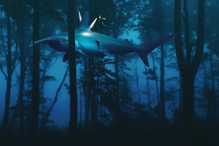 Mega Shark Forest