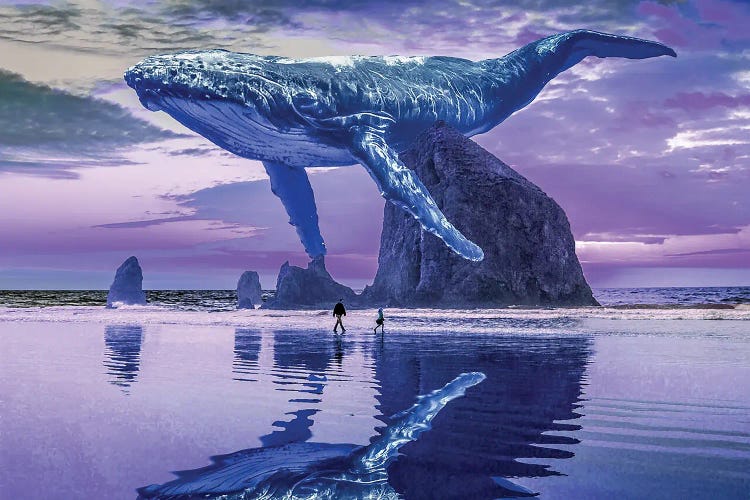 Whale Beach