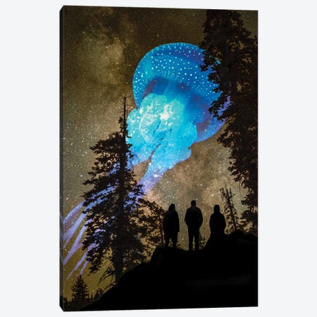 Jellyfish At The Treeline Canvas Print #DLB150} by David Loblaw Canvas Art Print