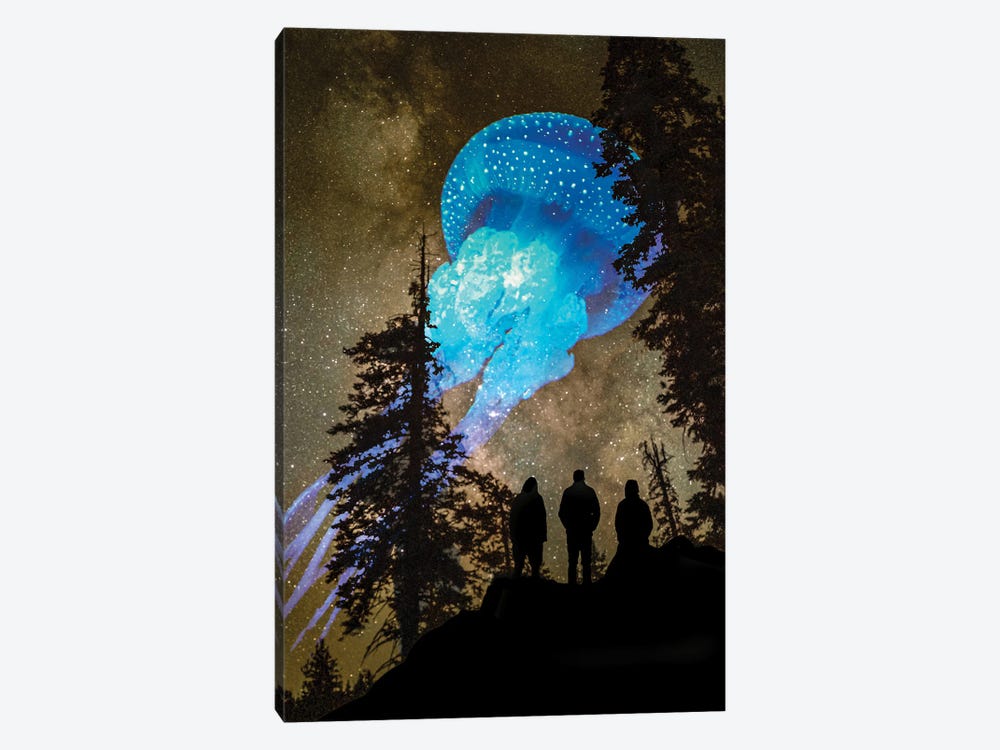 Jellyfish At The Treeline by David Loblaw 1-piece Art Print