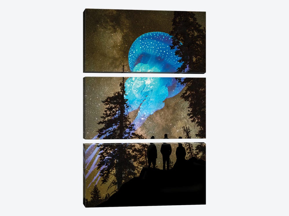 Jellyfish At The Treeline by David Loblaw 3-piece Canvas Print