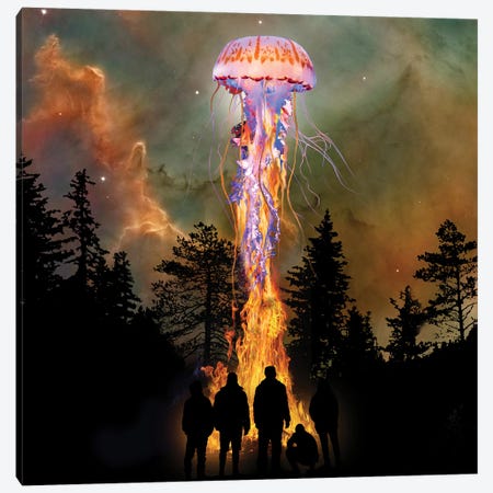 Jellyfish From The Flames Canvas Print #DLB151} by David Loblaw Art Print