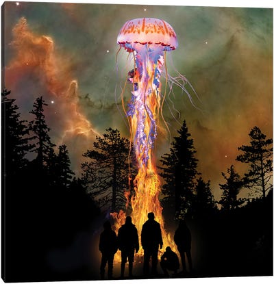 Jellyfish From The Flames Canvas Art Print - Jellyfish Art