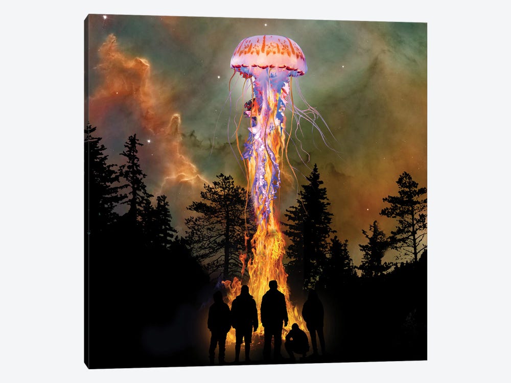 Jellyfish From The Flames by David Loblaw 1-piece Canvas Artwork