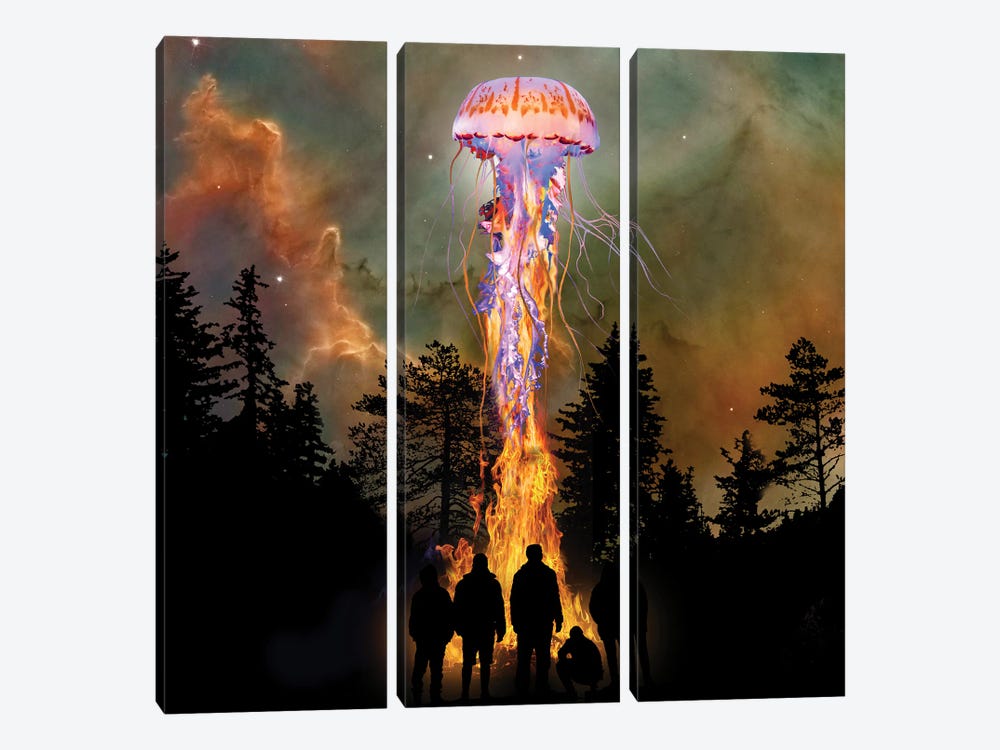 Jellyfish From The Flames by David Loblaw 3-piece Canvas Art