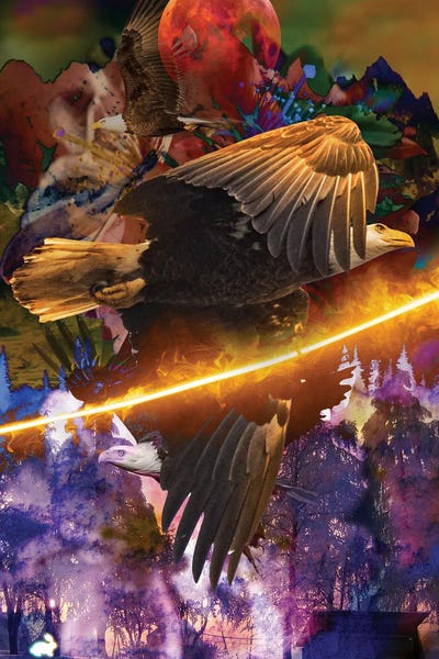 American Fire Eagle by David Loblaw framed canvas print