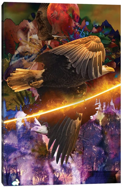 American Fire Eagle Canvas Art Print - Eagle Art