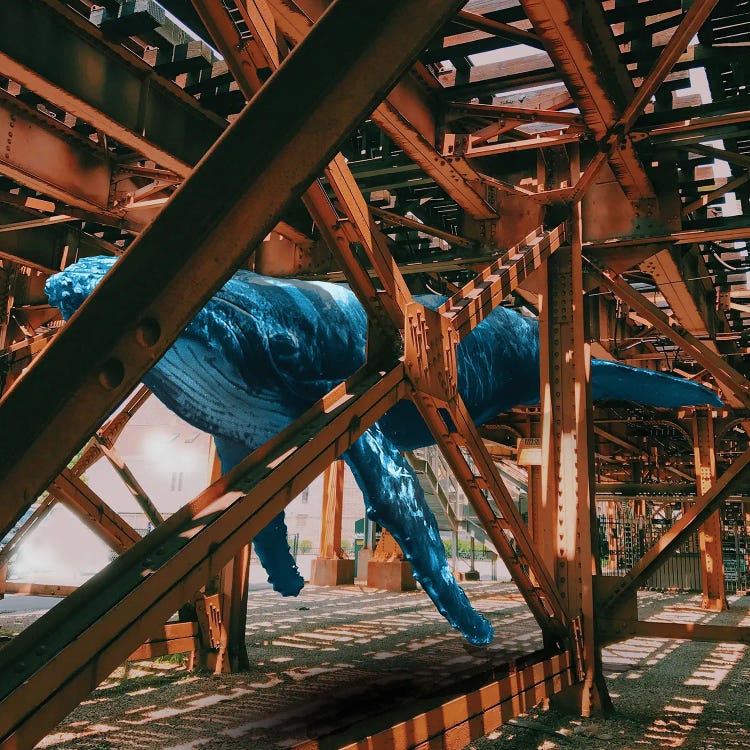 Whaling Steel Under The Tracks