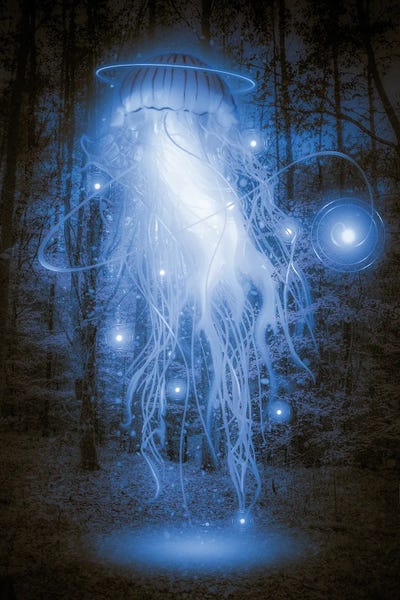 Jellyfish: Blue Jellyfish Forest by David Loblaw