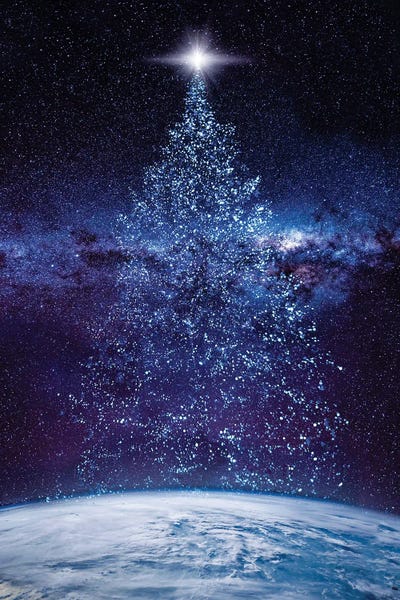 Christmas: Stary Night by David Loblaw