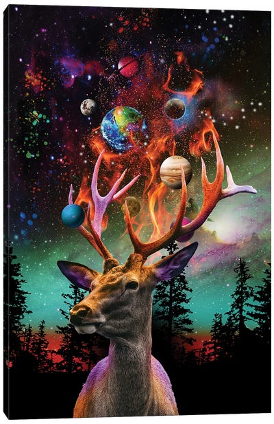 Planetary Deer Canvas Art Print - David Loblaw