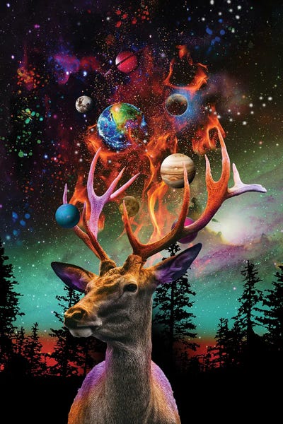 Aurora Borealis: Planetary Deer by David Loblaw