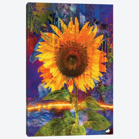 Sun Flower In A Forest Canvas Print #DLB163} by David Loblaw Canvas Wall Art