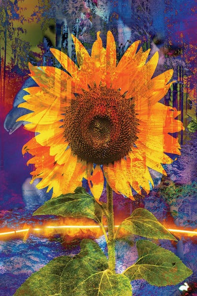 Sunflowers: Sun Flower In A Forest by David Loblaw