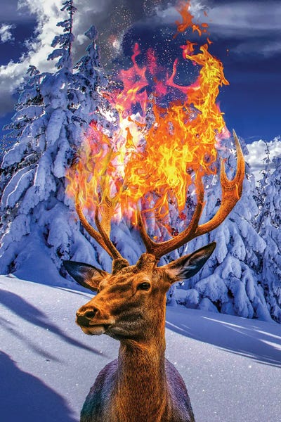 Fire Deer In Winter by David Loblaw framed canvas print