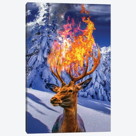 Fire Deer In Winter Canvas Print #DLB165} by David Loblaw Art Print