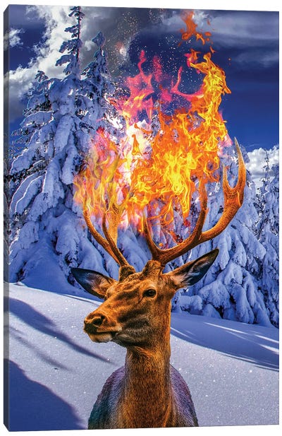 Fire Deer In Winter Canvas Art Print - David Loblaw