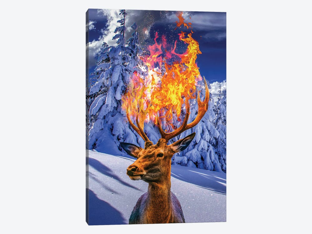 Fire Deer In Winter by David Loblaw 1-piece Canvas Art Print