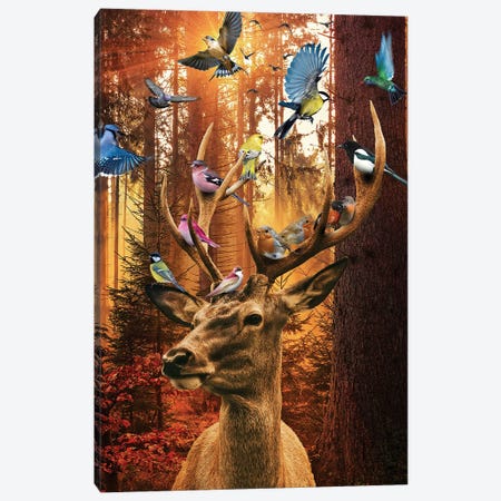 The Unseen Forest Canvas Print #DLB167} by David Loblaw Canvas Print