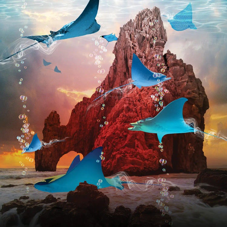 Dreaming At Rays Point by David Loblaw wall art