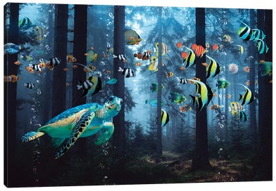 Tropical Forest Canvas Art Print - David Loblaw