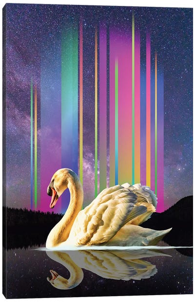 Swan Lake Lights Canvas Art Print - Swan Art