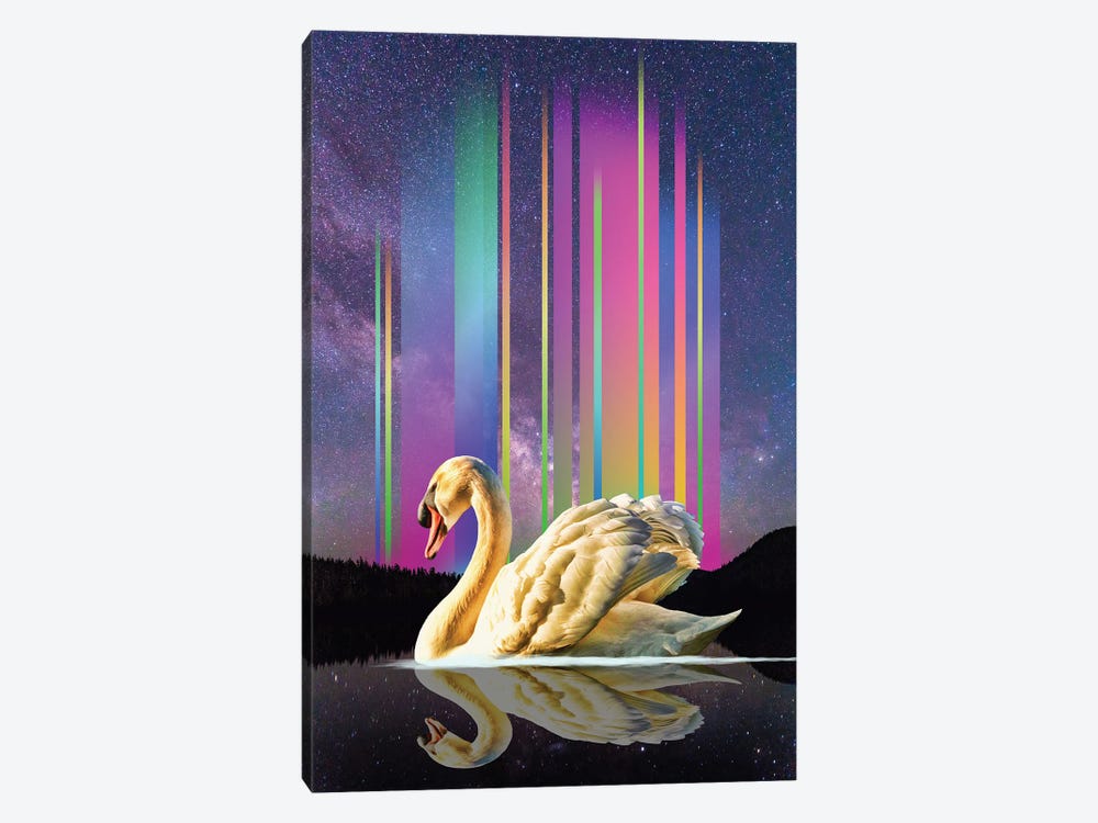 Swan Lake Lights by David Loblaw 1-piece Art Print
