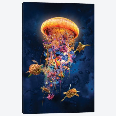 Jellyfish With Tropical Fish Canvas Print #DLB177} by David Loblaw Canvas Art