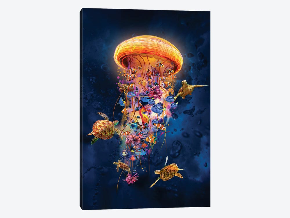 Jellyfish With Tropical Fish by David Loblaw 1-piece Canvas Wall Art