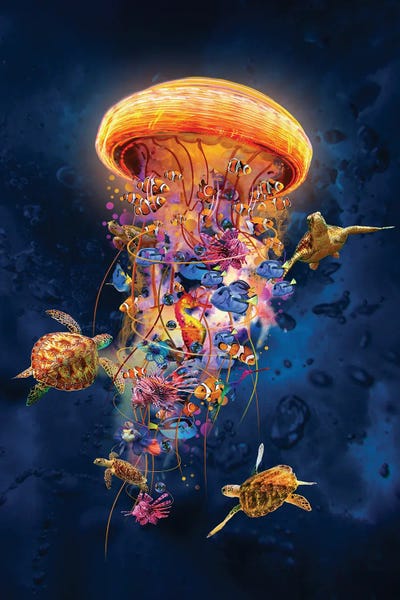 Jellyfish: Jellyfish With Tropical Fish by David Loblaw