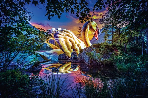 Lake Sunrises & Sunsets: Giant Swan At Sunset by David Loblaw