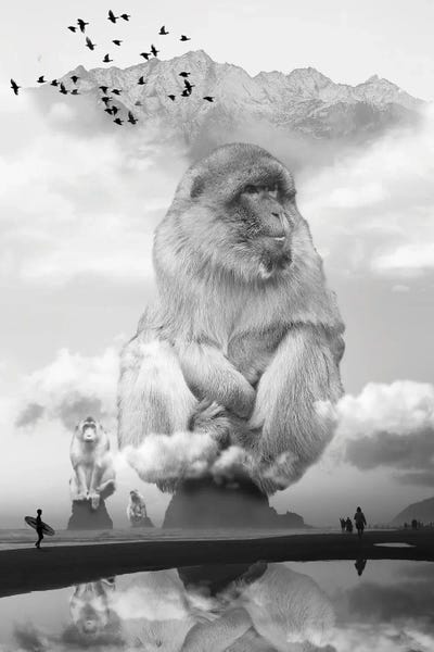 Rocky Mountains: Monkey Sea Monkey Do by David Loblaw